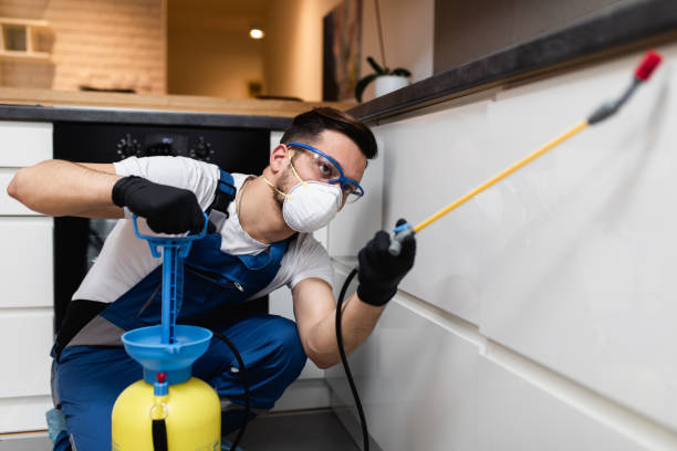 Reliable Pine Lake Park, NJ Pest Control Solutions