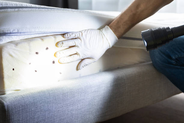 Best Best Pest Control Companies  in Pine Lake Park, NJ